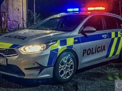 У Словаччині жінка зверталася до суду про захист від чоловіка, ув’язненого за домашнє насильство: він убив її після повернення