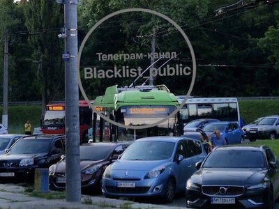 У Гідропарку в Житомирі припарковані авто заблокували рух тролейбусів. ФОТО