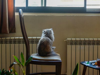 Як охолодитись без кондиціонера: ТОП-5 лайфхаків, які врятують вас у +35