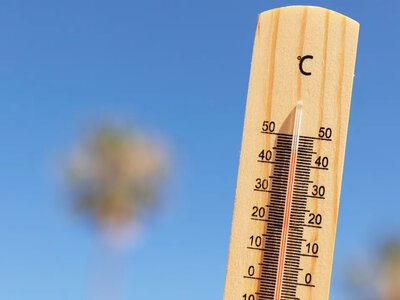 Погода 24 червня розділить Україну: на південь сунуть грози та град, на решту областей — спека до +30 
