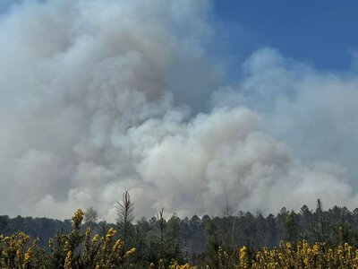 У Франції гасіння лісових пожеж ускладнене екстремальною спекою