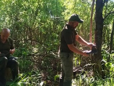 У Нобельському парку на Рівненщині розставили “фотопастки” на тварин