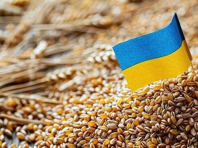 Ціни на пшеницю в Україні впали нижче 10 000 грн/т