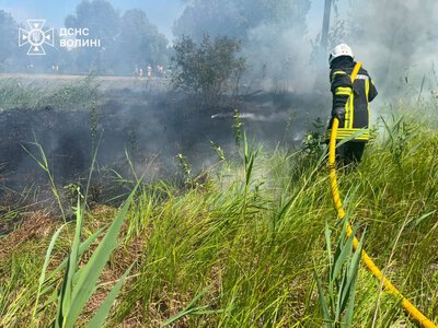 У курортному Світязі рятувальники ліквідували пожежу очерету