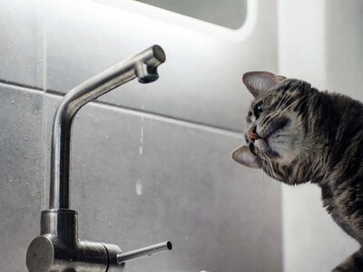 У райцентрі на Харківщині перебої з електрикою і брак води