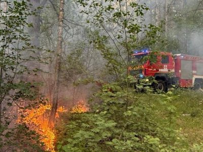 ДПСУ: На Чернігівщині періодично виявляють сліди диверсантів і вибухівку