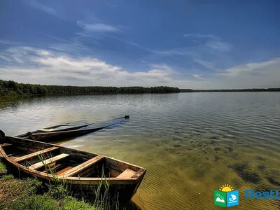 На Волині є глибоке містичне озеро, в якому водяться двометрові вугрі