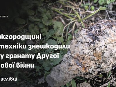 На Ужгородщині біля будинку чоловік знайшов гранату часів Другої світової війни