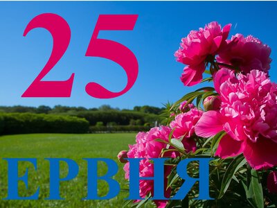 Сьогодні 25 червня 2026: яке свято та день в історії