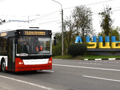 У Луцьку перерозподілили мільйони на електротранспорт: більше – на техніку, менше – на перевезення