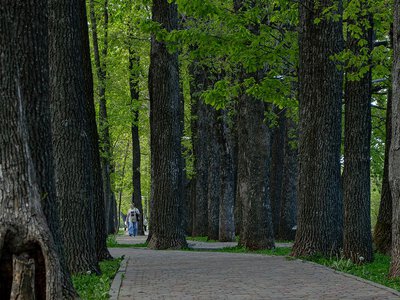Як Полтаві вижити в умовах нереальної спеки