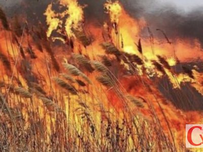 На Житомирщині 26 червня оголосили найвищий рівень пожежної небезпеки