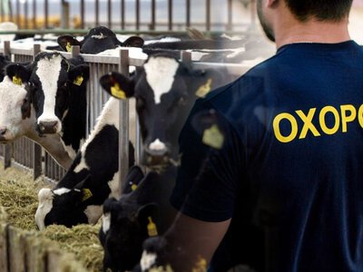 Чоловік із Чернігівщини у 66 років знайшов нову роботу: де тепер працює