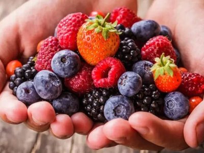 Українські ягідники змінюють підходи до захисту врожаю