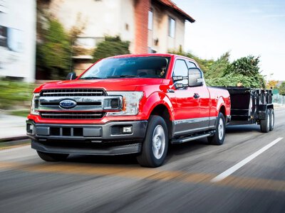 Відео: Ford залучив ведмедя для тесту безпеки пікапа F-150