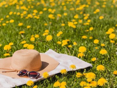Спека до +37°С накриє Україну: синоптикиня назвала точні дати 