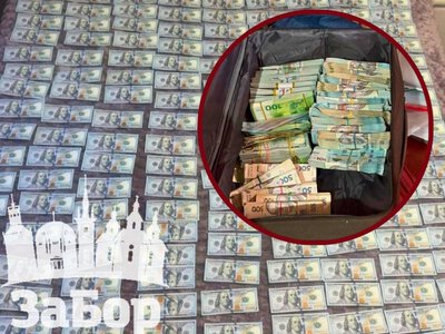 У Запоріжжі двох посадовців підозрюють у розтраті понад 1,1 млн грн на послугах для безпритульних тварин