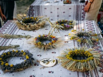 Вінки, трав’яні чаї та дослідження рослин: у франківському дендропарку провели родинне екосвято