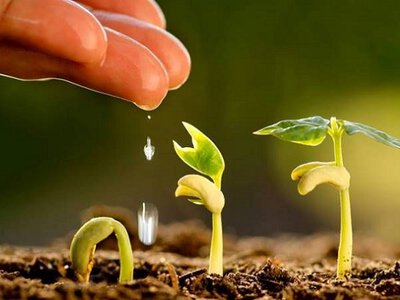 Кліматично орієнтоване землеробство: стратегія для України