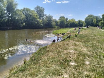 Водорості плутають ноги: в якому стані центральний пляж Луцька та що говорять місцеві жителі