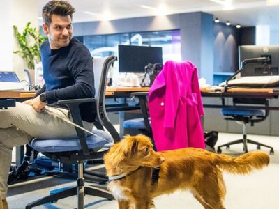 Конкуренція за кадри: як pet-friendly офіс впливає на ринок праці