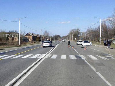 Людожерська логіка держустанов ігнорує безпеку на дорогах України
