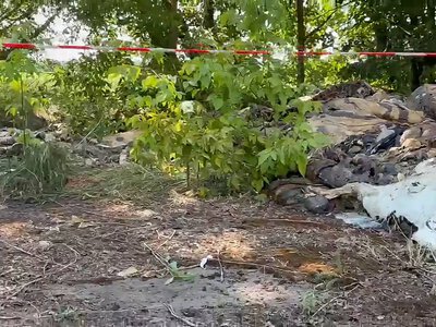 У громаді на Полтавщині виявили звалище решток тварин