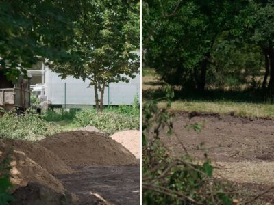 Майданчик для вигулу тварин облаштують у Гідропарку Рівного
