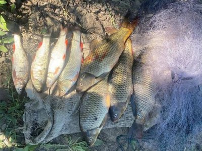  На Херсонщині викрили два випадки незаконного вилову риби зі збитками понад 30 тисяч гривень 