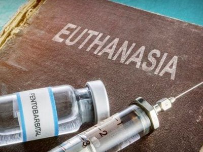 У Нідерландах вперше піддали евтаназії дитину