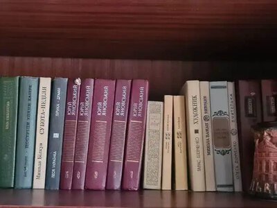 Росія вивезла 18 тисяч українських книг з окупованих територій до московського спецархіву