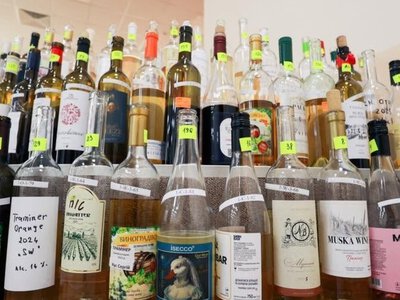 У Мукачеві відбудеться конкурс «Вина Срібної Землі – 2026»