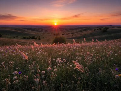 Нові природоохоронні зони з’явилися на Херсонщині для захисту степу