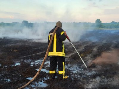 Понад тиждень боротьби з підземним вогнем: біля Ржищева рятувальники гасять 8 гектарів торфовища