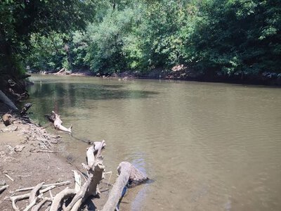 На Берегівщині вдруге за тиждень сталася трагедія на воді — PMG.ua