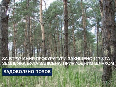 Суд зобов’язав Миколаївську міськраду розглянути питання та прийняти рішення щодо віднесення 117,3 га до самозалісених земель