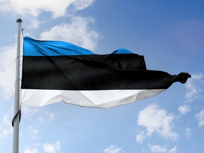 Естонія збільшить внесок до Фонду підтримки енергетики України
