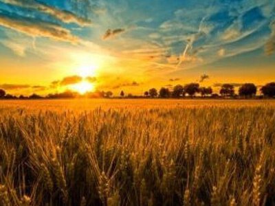 Волинян попереджають про спеку до +39 градусів