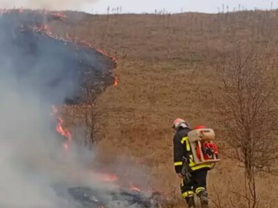 Буковинців попереджають про надзвичайну пожежну небезпеку 28 червня