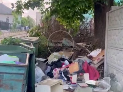 Сміттєве гетто у центрі Житомира: мешканці вулиці Володимирської скаржаться на антисанітарію