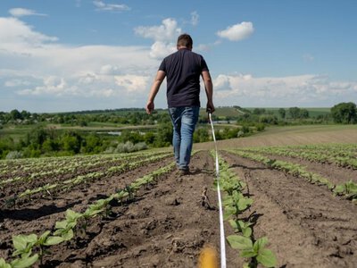 Землю можуть забрати під оборону: скільки заплатять власникам за ділянку