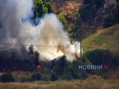 У Миколаєві пожежа біля мосту: рятувальники борються зі стихією (відео)