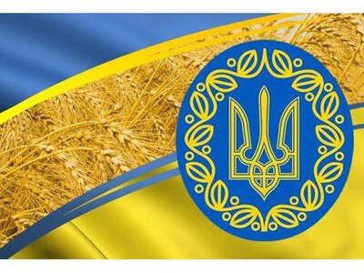 Фундамент нашої свободи: Україна відзначає День Конституції