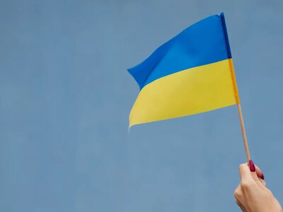 Одна ніч, 315 голосів і шість років суперечок: як ухвалювали Конституцію України 