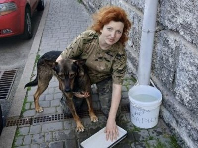 Така спека, а води для тварин немає!