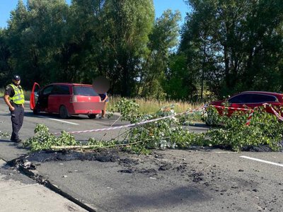 До уваги водіїв! Житомирська область: відбулося деформування та підняття дорожнього покриття