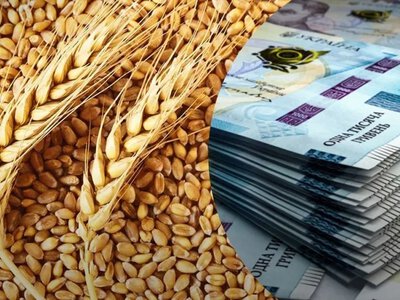 Ціни на зернові в Україні: аналіз ринку та нові тренди