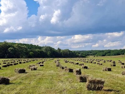 Синоптик попередив про спеку до +38° та небезпечні грози в Україні з 29 червня по 5 липня