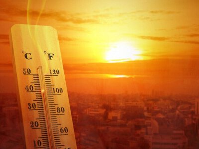 Європу накрила безпрецедентна спека: температура перевищила +40°C, сотні людей загинули, країни встановлюють історичні рекорди