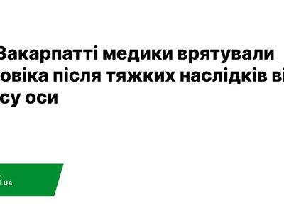 На Закарпатті медики врятували чоловіка після тяжких наслідків від укусу оси — PMG.ua